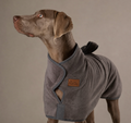 Weimaraner wearing a grey Tail House fleece wrap coat